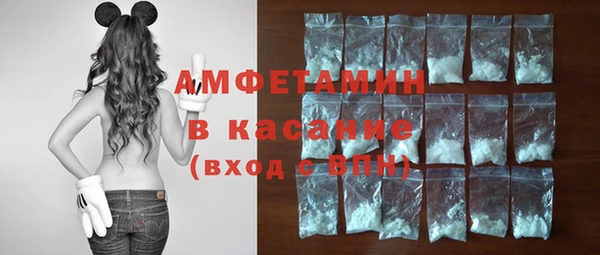 молекула духа Елабуга