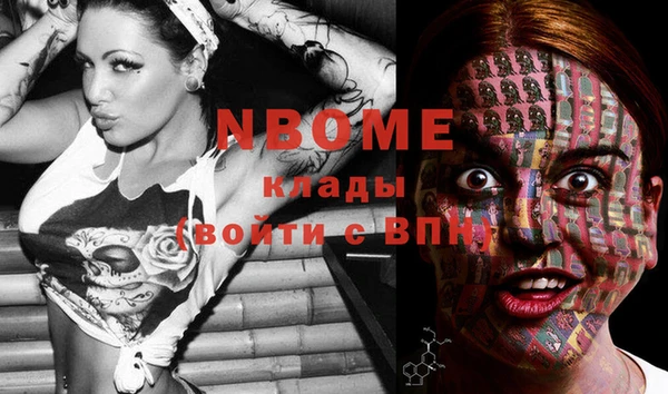 молекула духа Елабуга