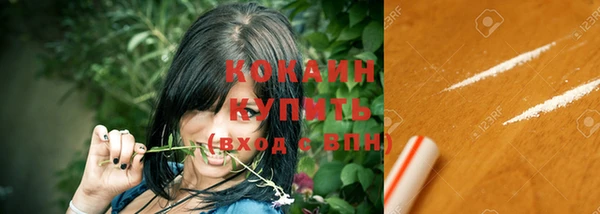 молекула духа Елабуга