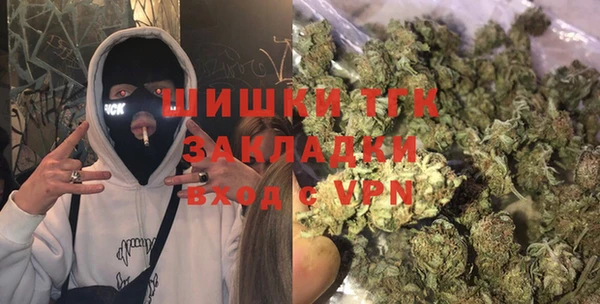 mix Ельня