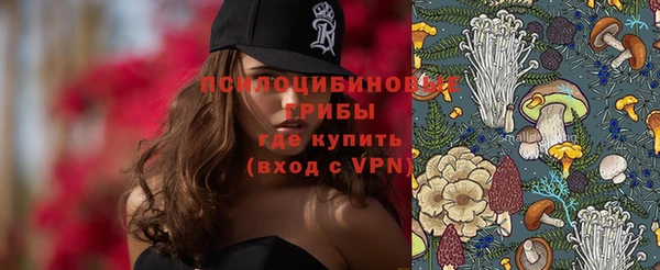 mix Ельня