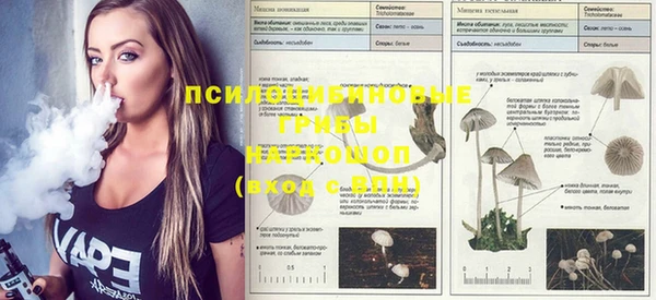 mix Ельня