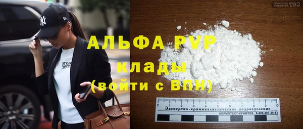 молекула духа Елабуга