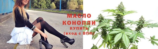 молекула духа Елабуга