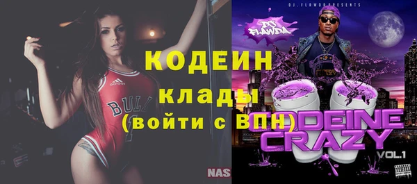 молекула духа Елабуга