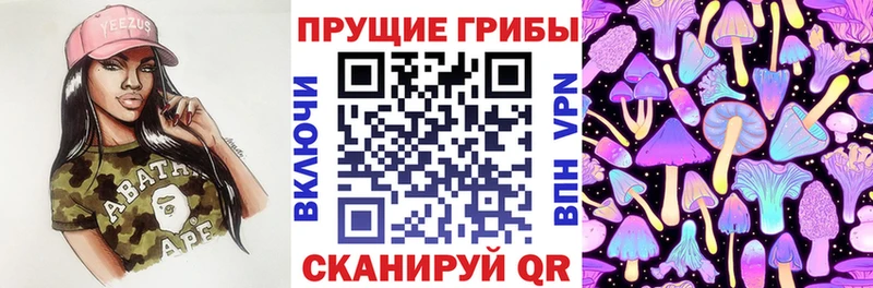 наркотики  KRAKEN онион  Галлюциногенные грибы Psilocybine cubensis  Иннополис 